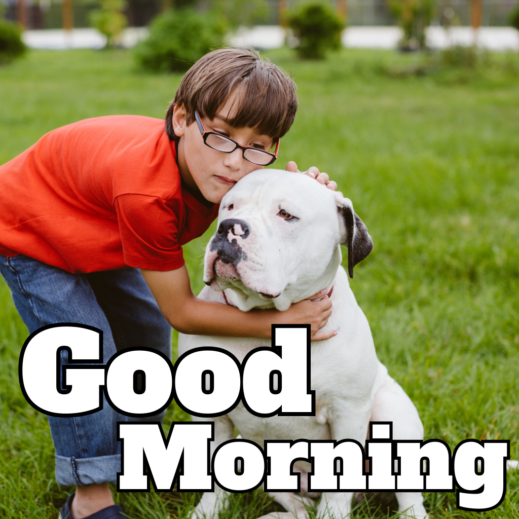 208 Good Morning Images,Good Morning Images For Dog Lovers