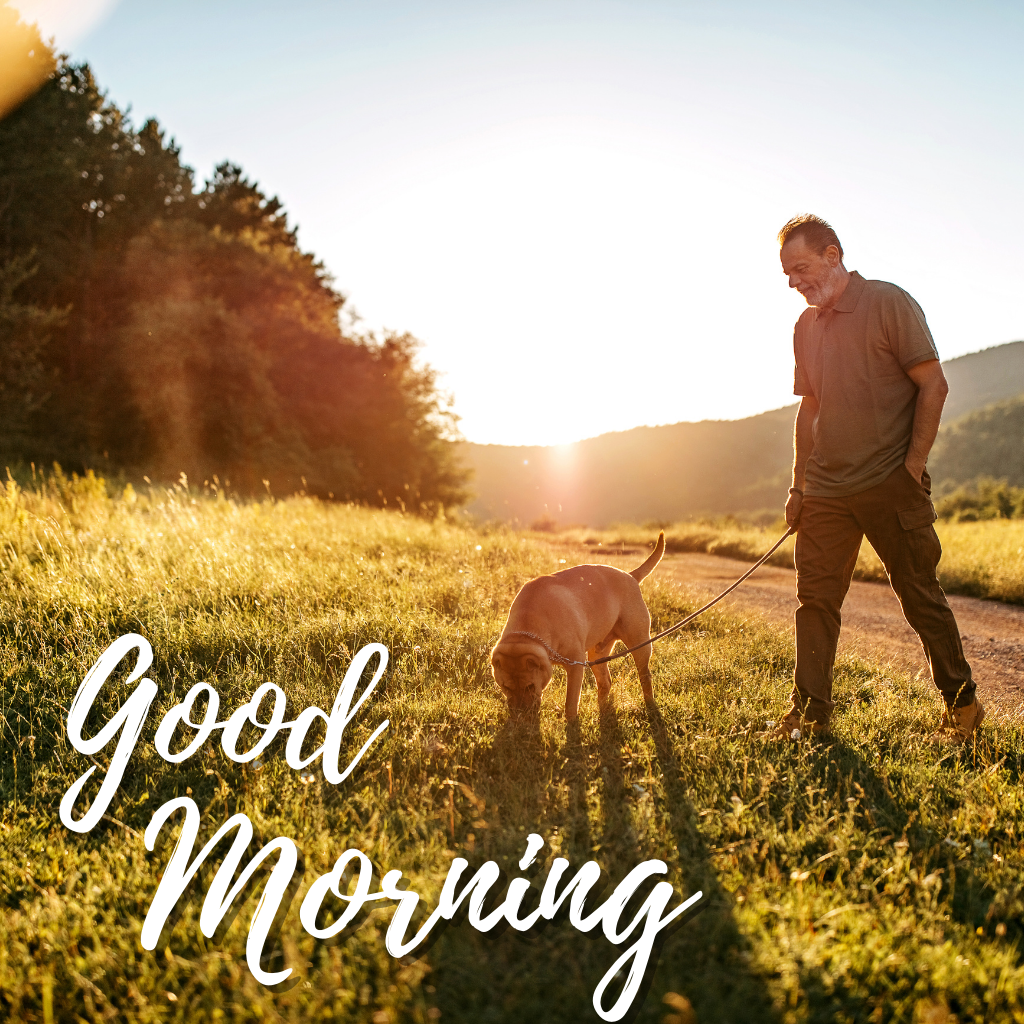 227 Good Morning Images,Good Morning Images For Dog Lovers