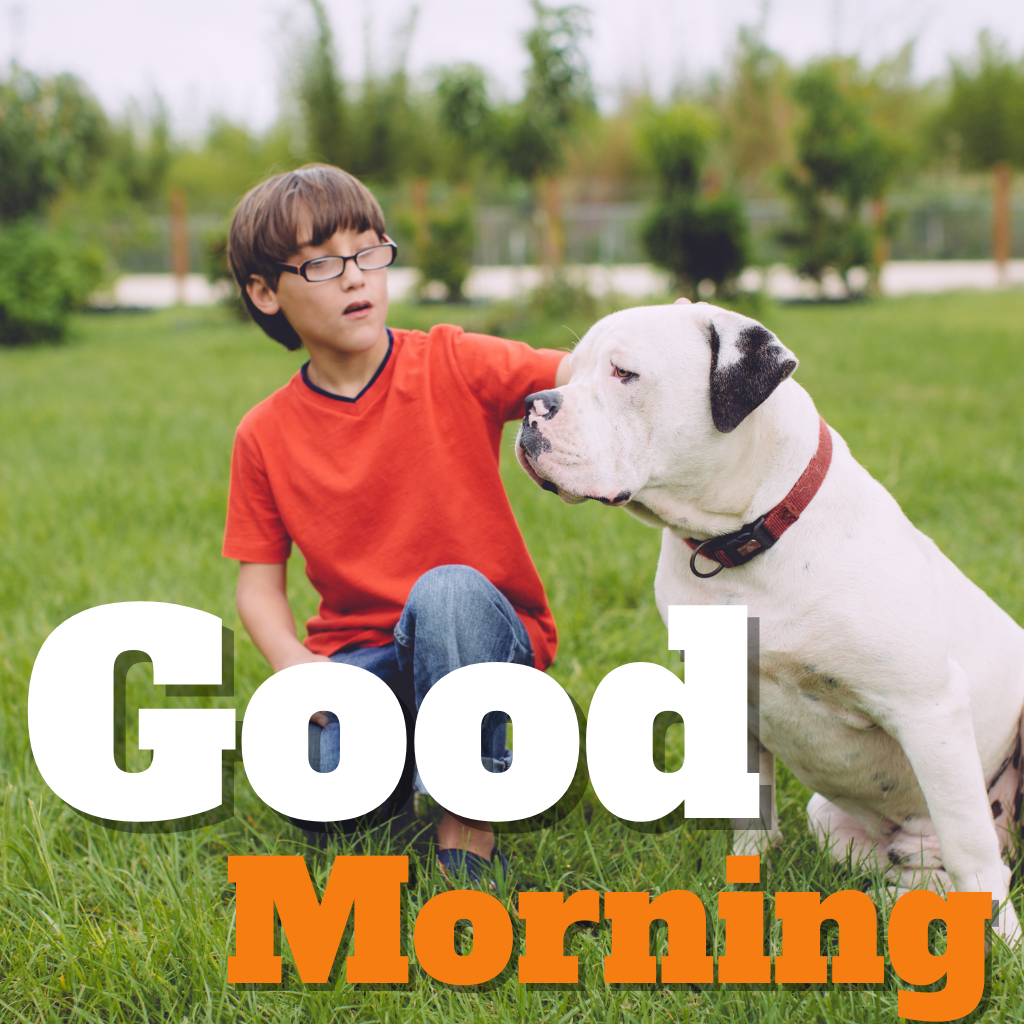 229 Good Morning Images,Good Morning Images For Dog Lovers