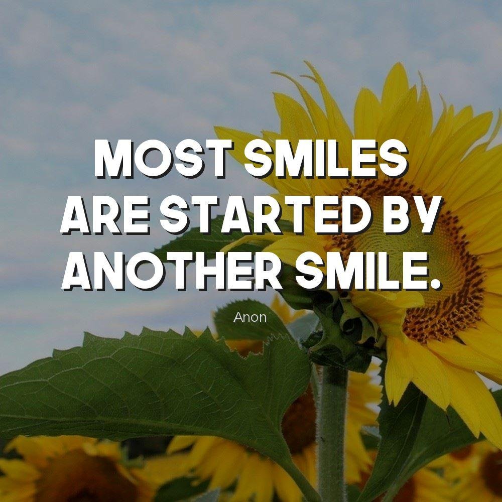 253 101+ Best High-Resolution Images with Quotes,Images with Quotes,101+ Best High-Resolution Images,101,High-Resolution Images