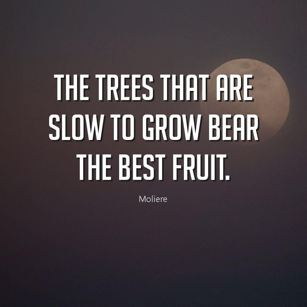 517 99+ Images Overflowing with Positive Quotes,99+ Images with Positive Quotes