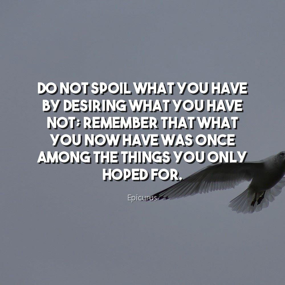 531 99+ Images Overflowing with Positive Quotes,99+ Images with Positive Quotes